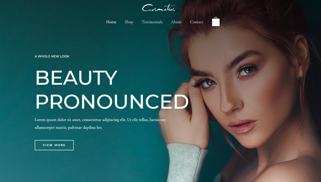 tema woocommerce astra