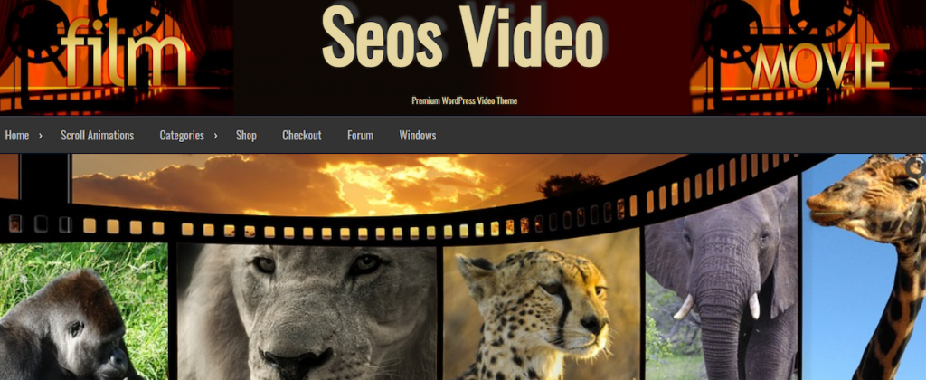 tema para wordpress seos video