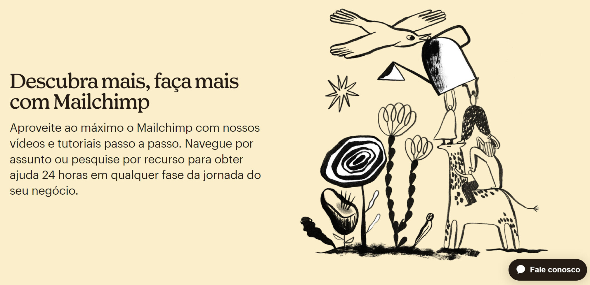 exemplo perguntas frequentes - mailchimp