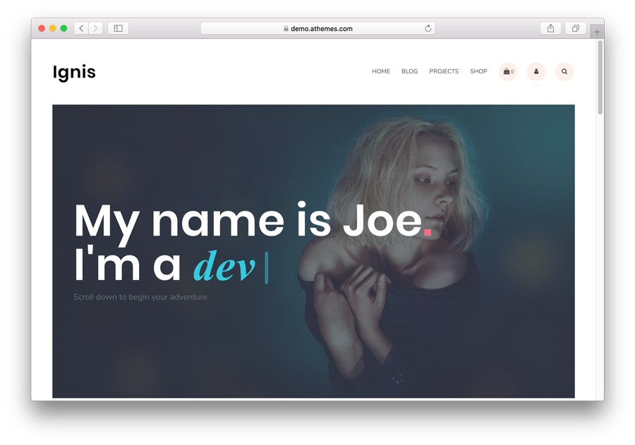 tema Ignis para portfólio no WordPress