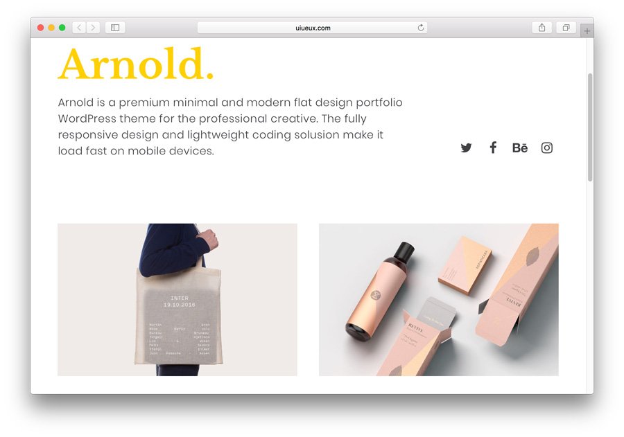 8+ Melhores Temas Grátis e Pagos de Portfolio WordPress em 2021 12 faça um portfólio no WordPress com o tema pago Arnold
