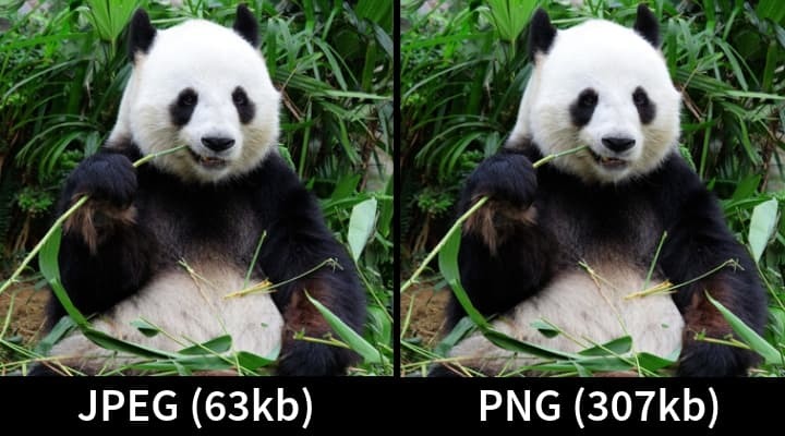 Showing JPEG vs PNG - image optimization best practices
