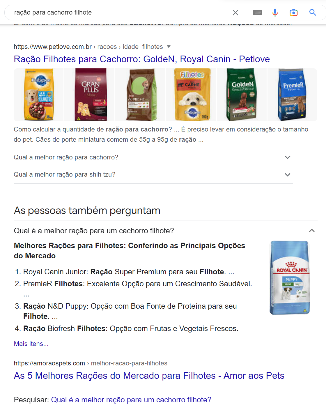 serp com intenções de busca